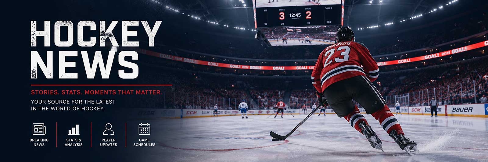 Hockey stories